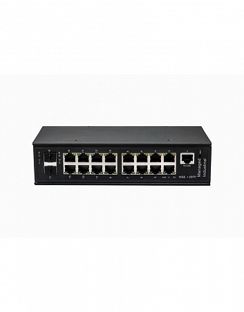 NST NS-SW-16G2G-L Коммутатор Ethernet